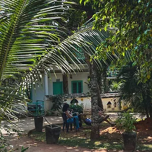 Molly's India